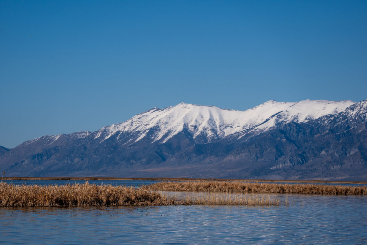 The Willard Bay portion of the Great Salt Lake is pictured on Monday, March 18, 2024. (Photo by Spenser Heaps for Utah News Dispatch)