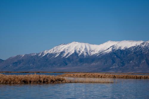 The Willard Bay portion of the Great Salt Lake is pictured on Monday, March 18, 2024. (Photo by Spenser Heaps for Utah News Dispatch)